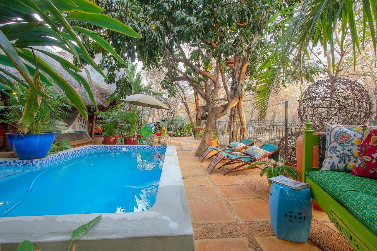 Alojamento de Turismo Selvagem Wielewaal Bush