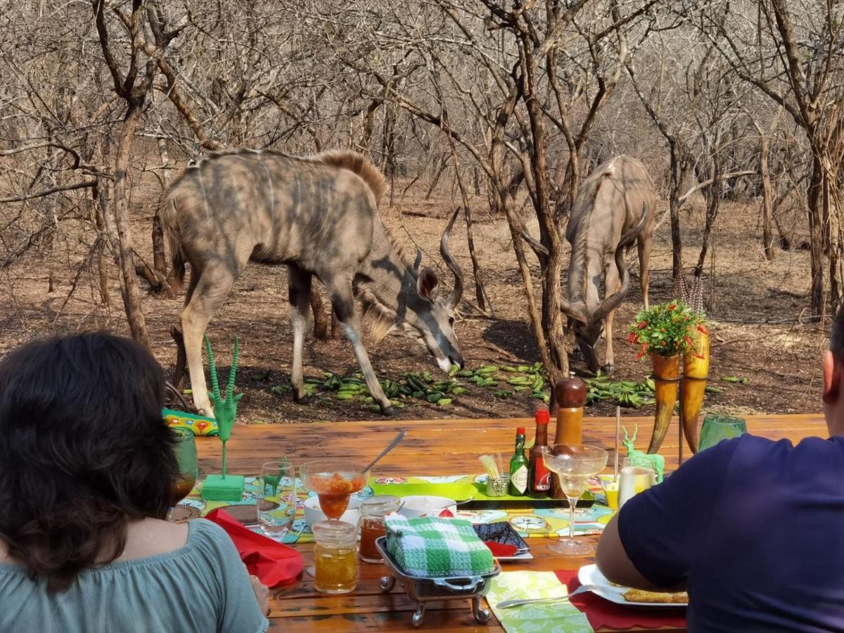 Wielewaal Bush