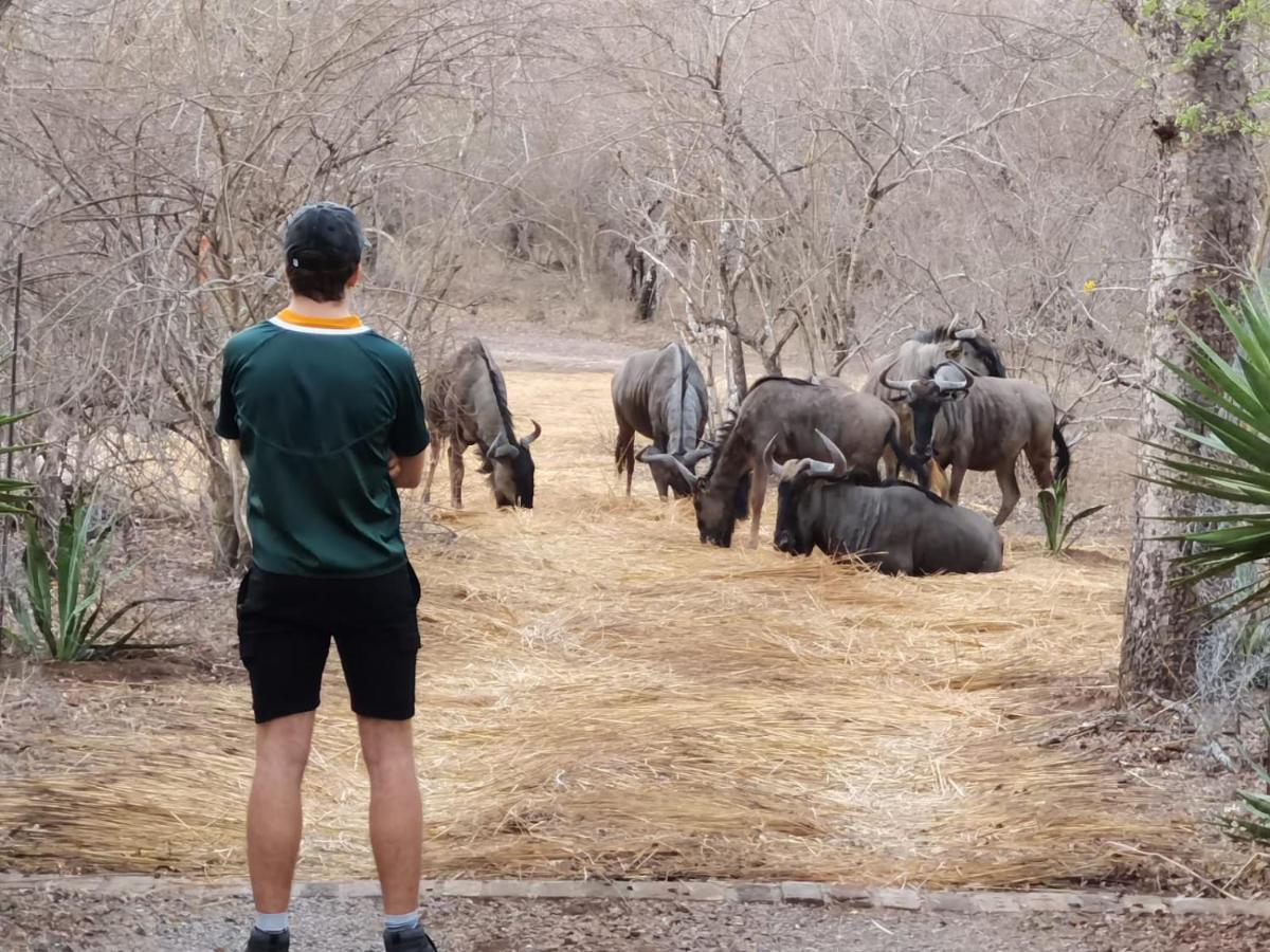 Lodge Wielewaal Bush *