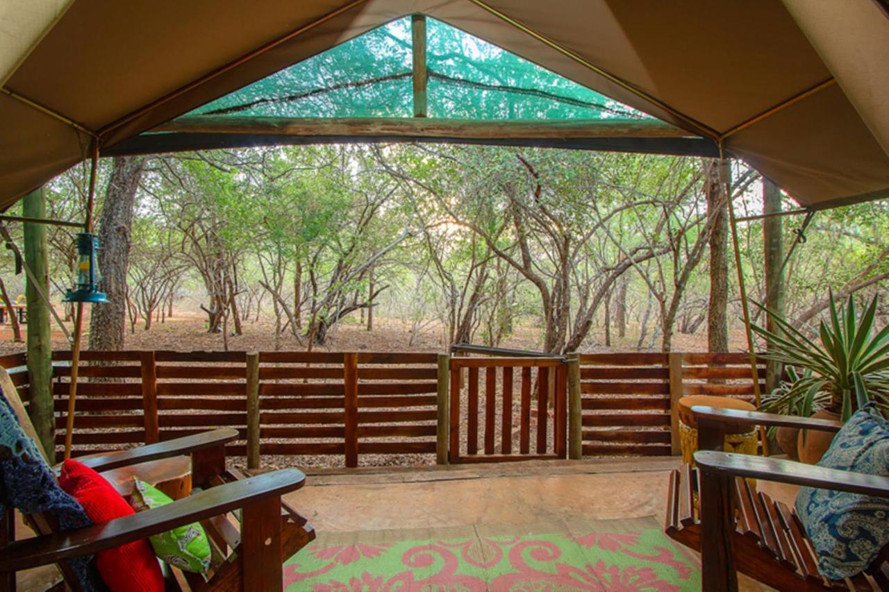 Wielewaal Bush * Marloth Park