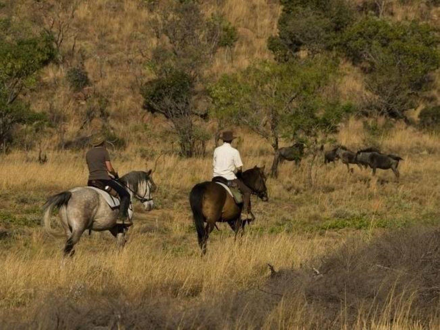 Lodge Wielewaal Bush