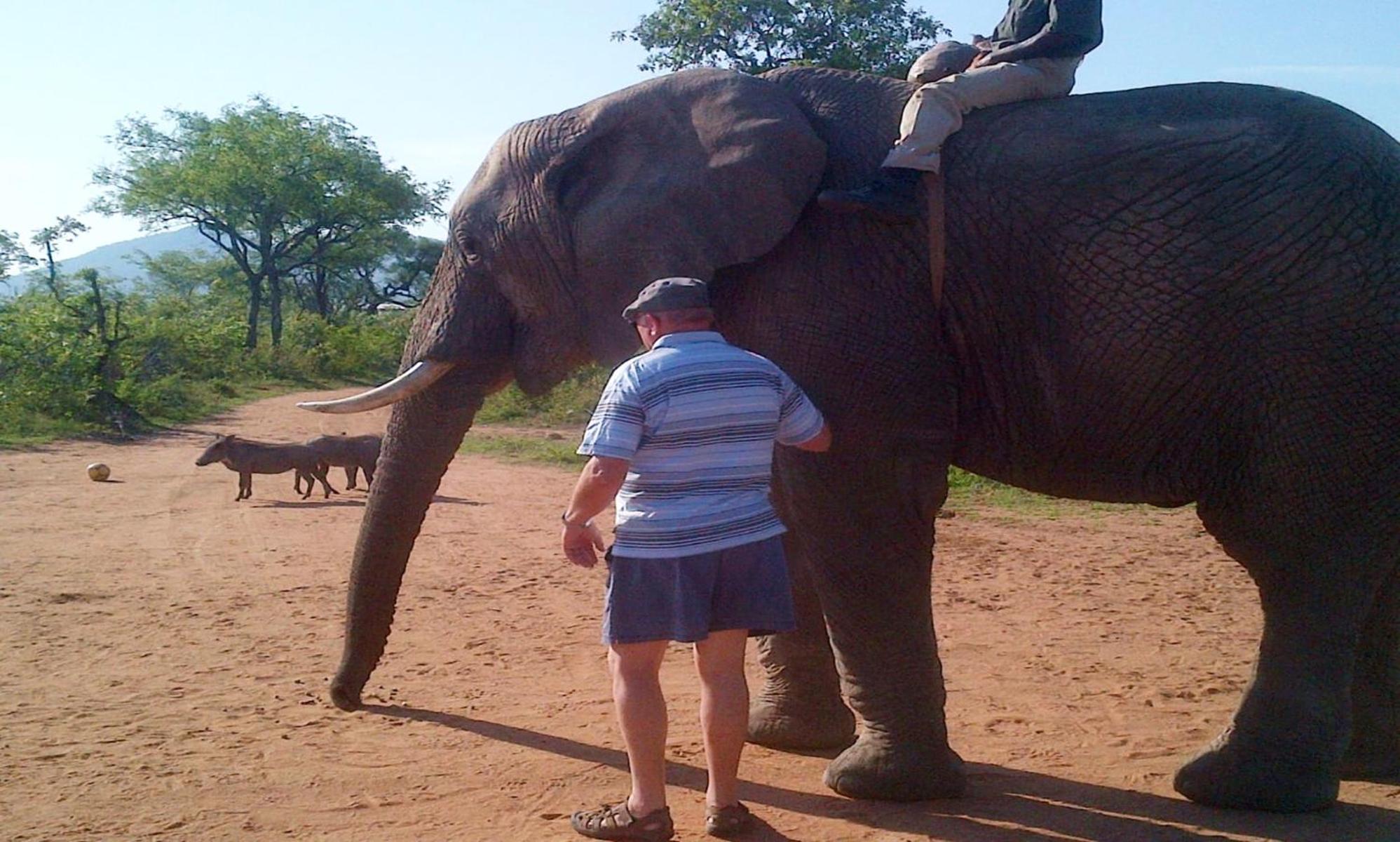Wielewaal Bush * Marloth Park